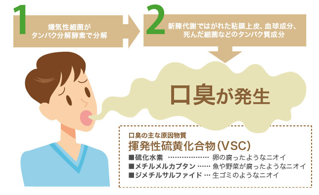 口臭が発生